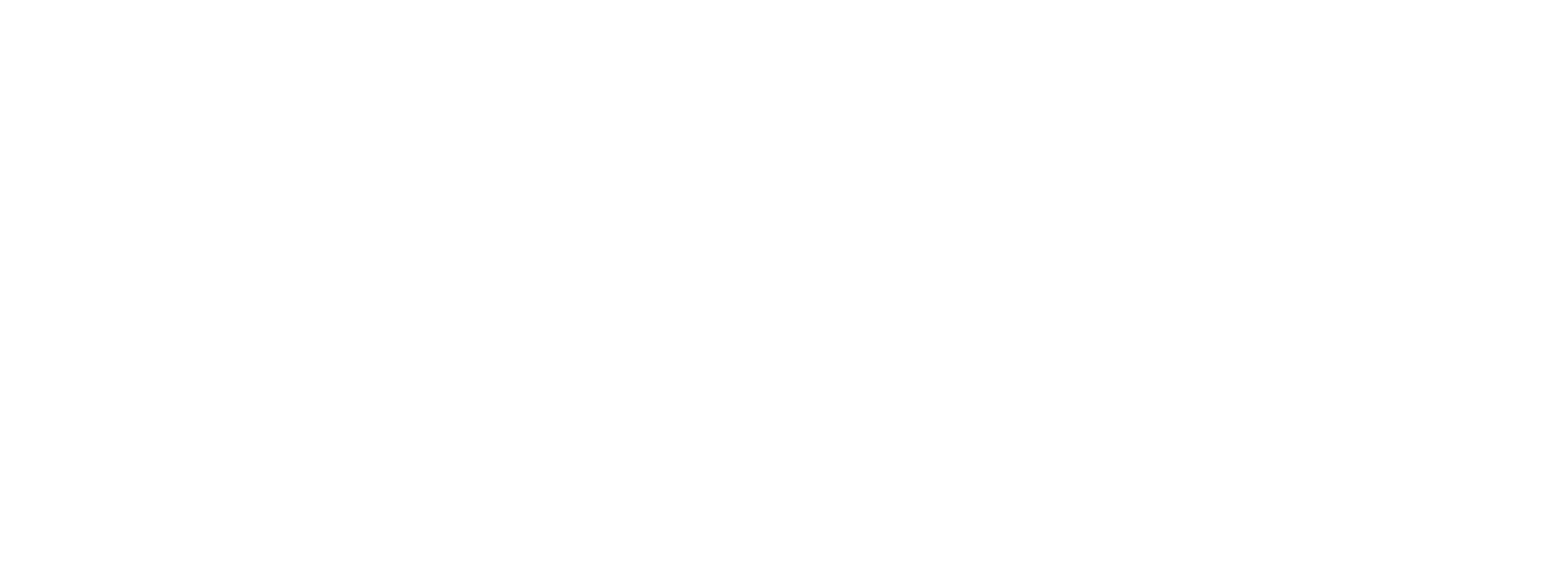 SNOM Code